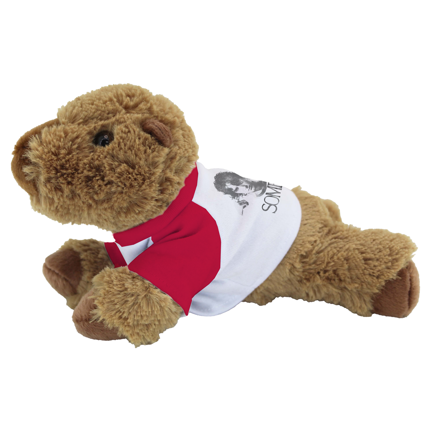 Capybara Plushy