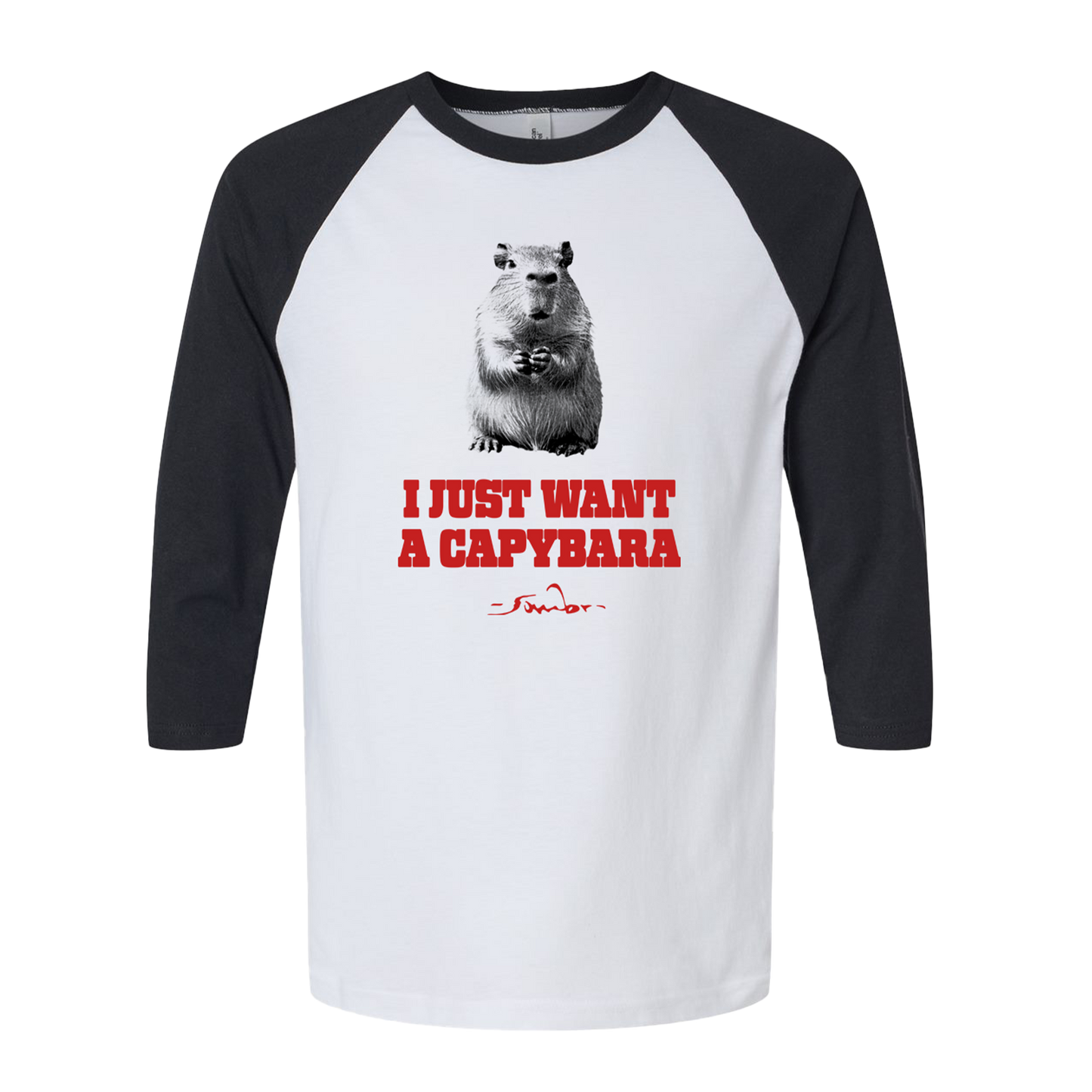 I Just Want A Capybara Tee