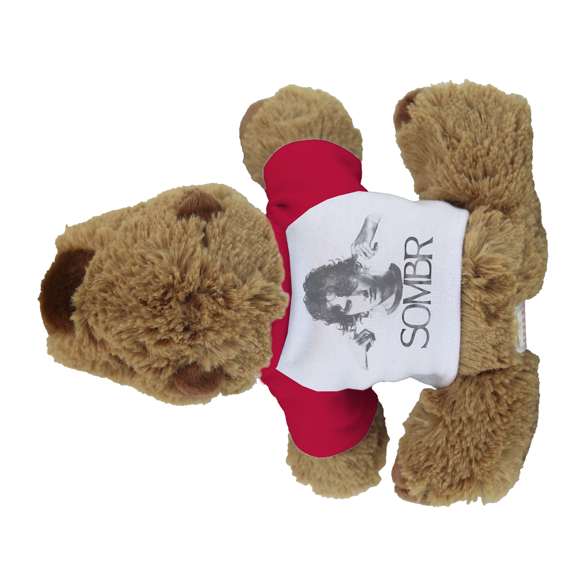 Capybara Plushy