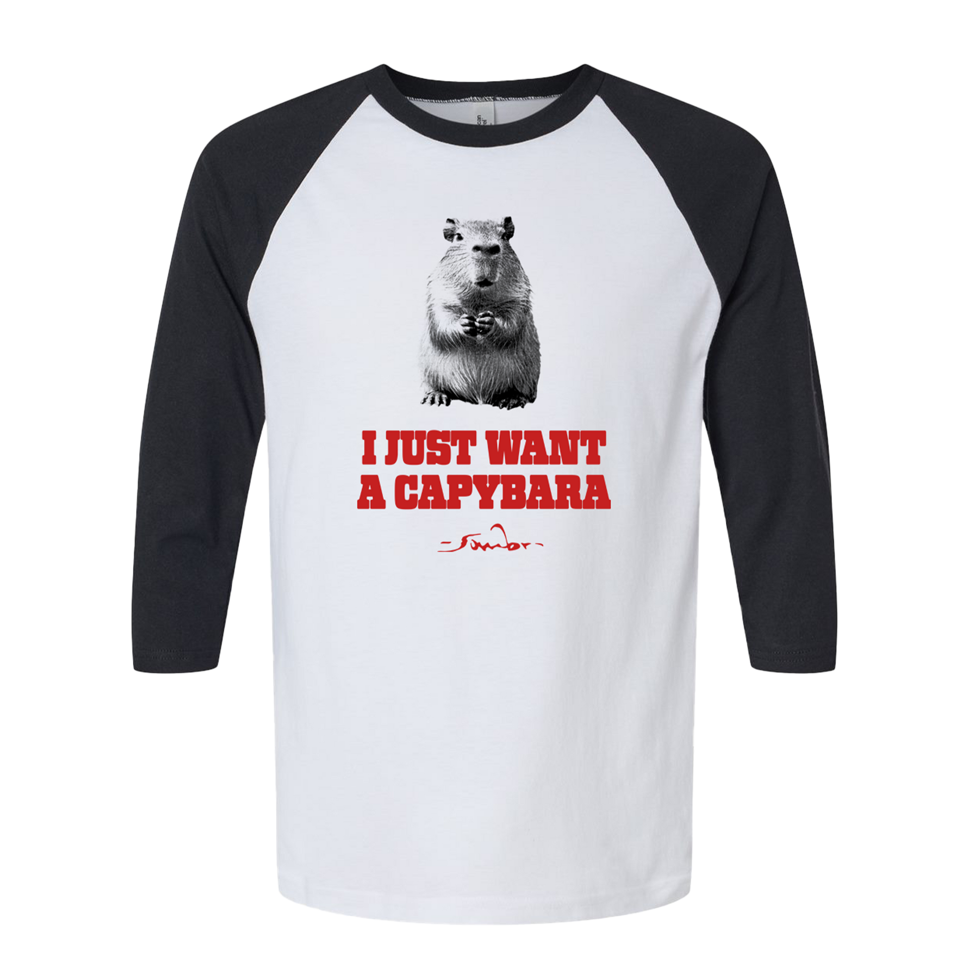 I Just Want A Capybara Tee